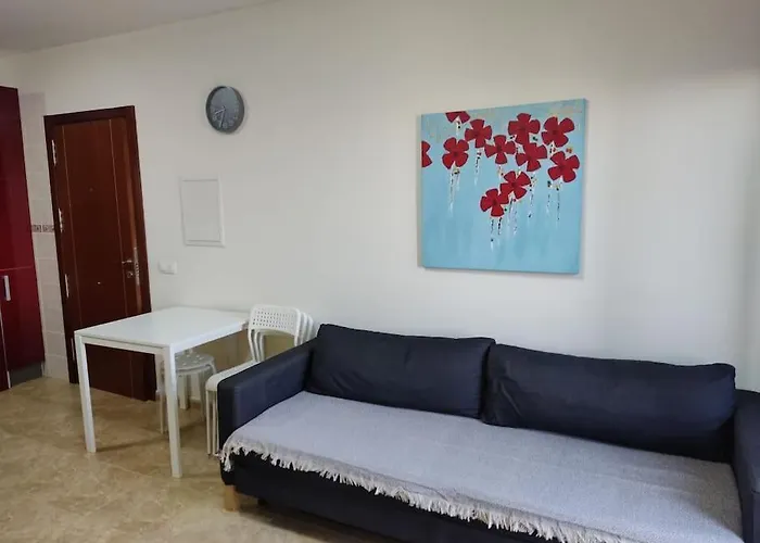 Apartment Vv La Isla *
